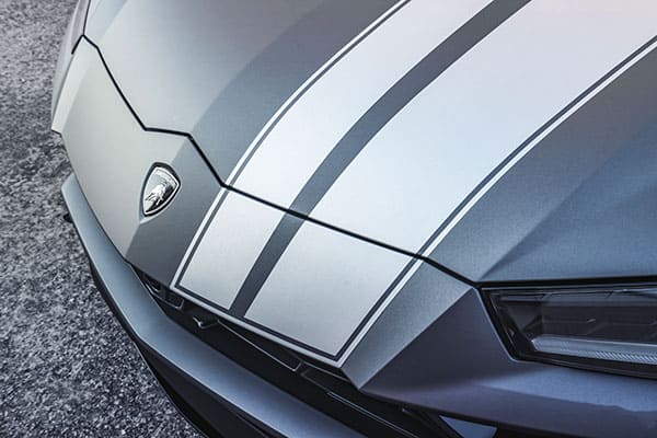 vinyl-stripes Speed Shield ANRKY Lamborghini Urus